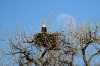 DSC_8464_edited