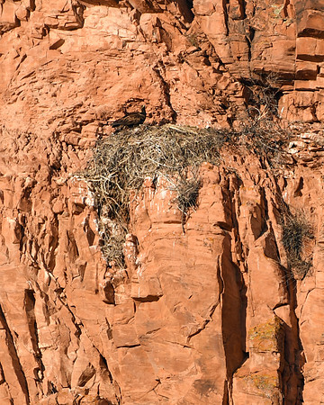 DSC_5693_edited
