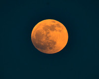 DSC_0460_edited
