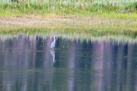 DSC_4738_edited