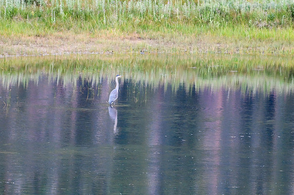 DSC_4738_edited