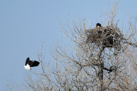 DSC_3564_edited