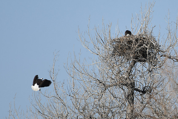 DSC_3564_edited
