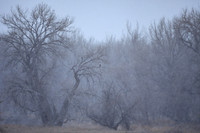 DSC_3872_edited-1