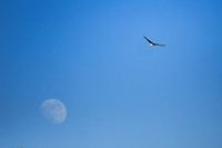 DSC_8292_edited