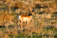 Add Watermark_2022_05_17_11_08_55 - DSC_0397_edited