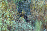 DSC_8958_edited