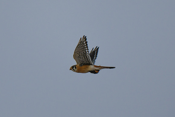 DSC_4280_edited