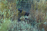 DSC_8927_edited