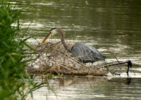 DSC_8386_edited