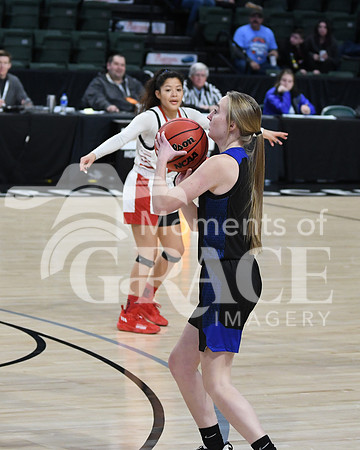 DSC_8781_edited