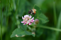 DSC_4394_edited