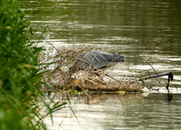 DSC_8388_edited