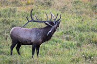 DSC_4626_edited