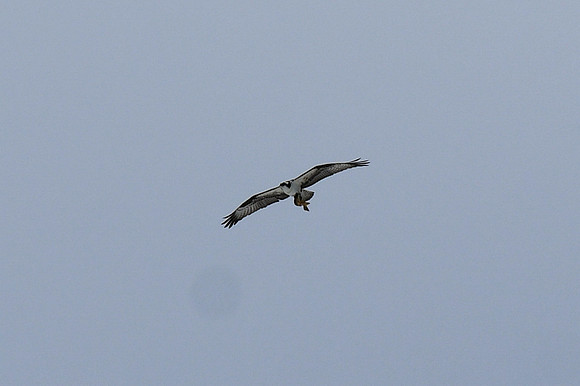 DSC_5121_edited