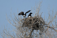 DSC_3572_edited