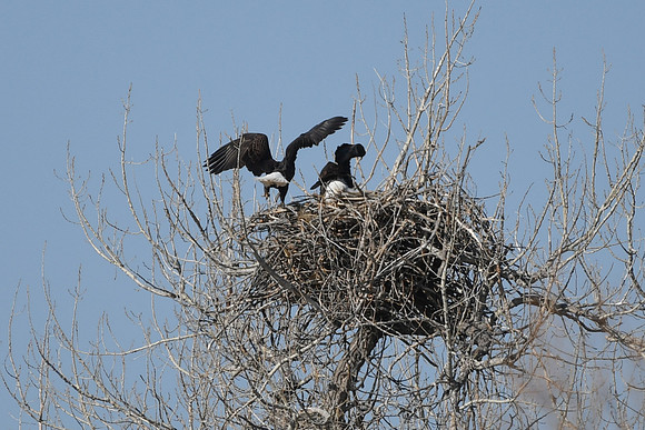 DSC_3572_edited