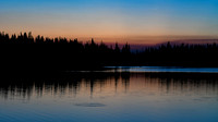 DSC_2241_edited - Trout swirls at the water's surface under the morning glow.