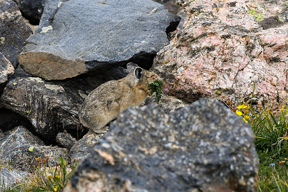DSC_5891_edited