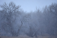 DSC_3876_edited-5x7
