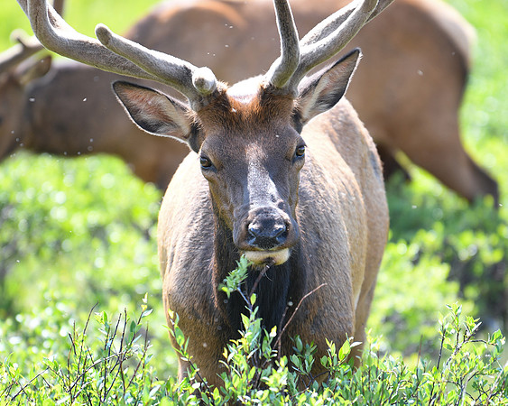 DSC_1595_edited