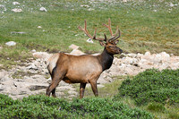 DSC_1632_edited