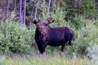 2025-07-19 RMNP