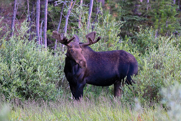 DSC_4627_edited