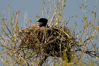 DSC_5842_edited-1