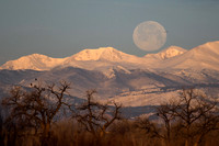 DSC_0382_edited