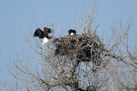 DSC_3568_edited