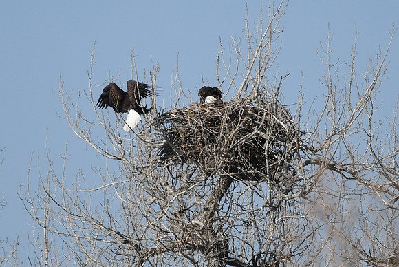 DSC_3568_edited