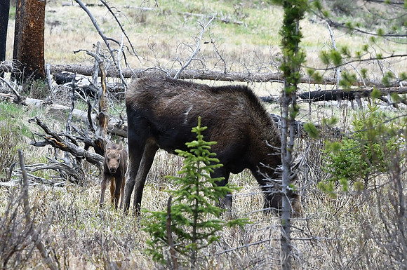 DSC_6711_edited