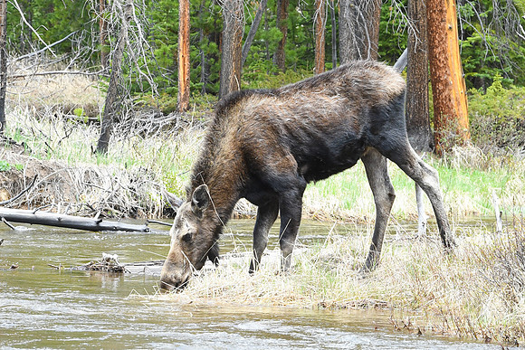 DSC_6784_edited