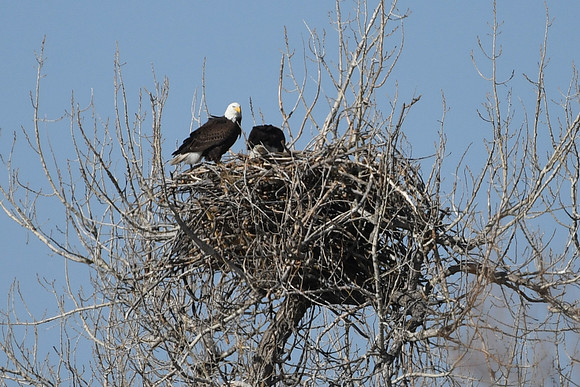 DSC_3619_edited