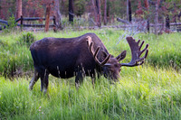 DSC_8367_edited