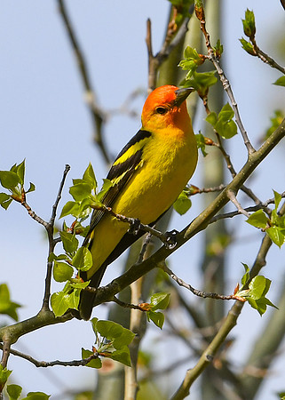 DSC_7217_edited