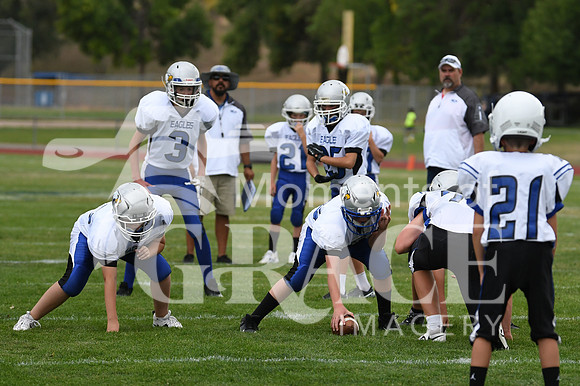 DSC_9799_edited - DCA vs Lyons