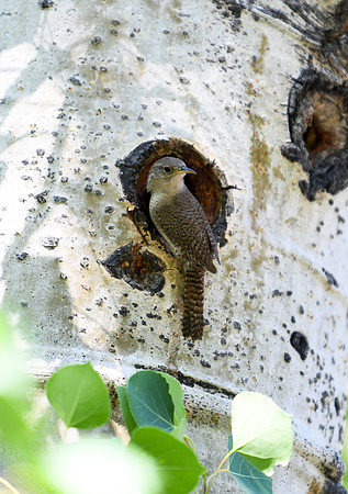 DSC_2591_edited