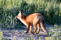 DSC_5355_edited