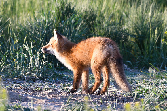 DSC_5355_edited