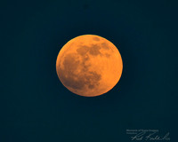 Add Watermark_2022_05_17_11_11_00 - DSC_0460_edited