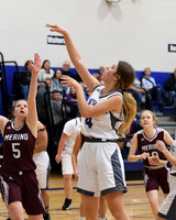 DSC_2822_edited - Maddy Dilka - DCA vs Merino