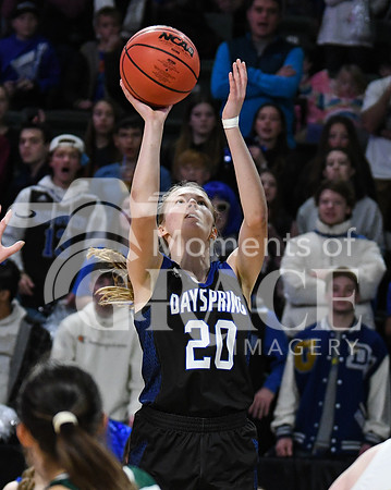 DSC_8480_edited