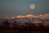 DSC_0315_edited