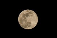 DSC_4760_edited