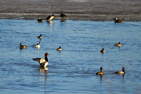 DSC_2071_edited