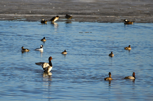 DSC_2071_edited