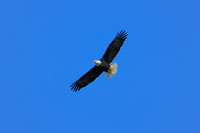 DSC_1645_edited