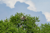 DSC_8321_edited